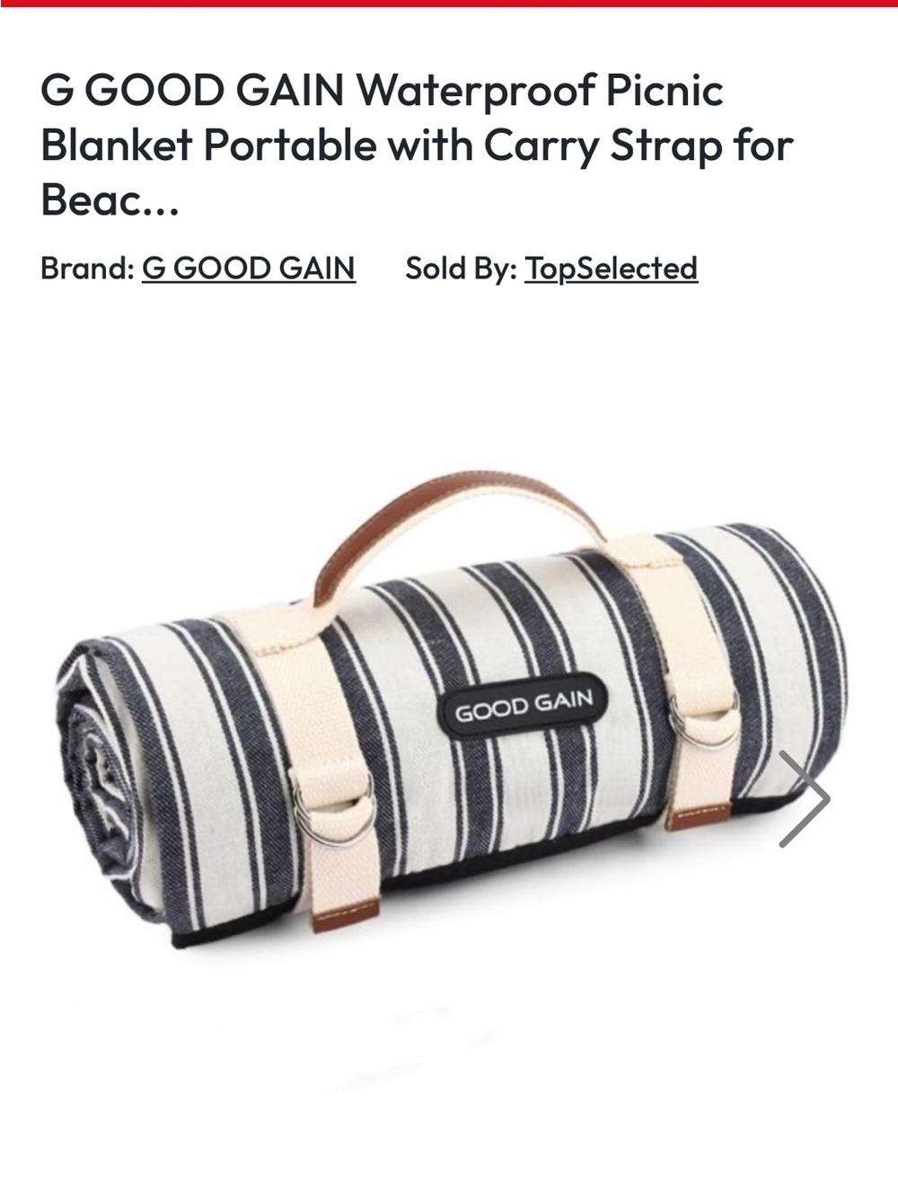 Good Gain Waterproof picnic blanket  with Carry Strap NWT